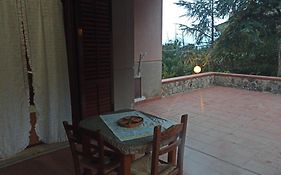 House Italia Holiday